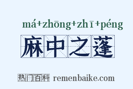 麻中之蓬是什么意思的图片